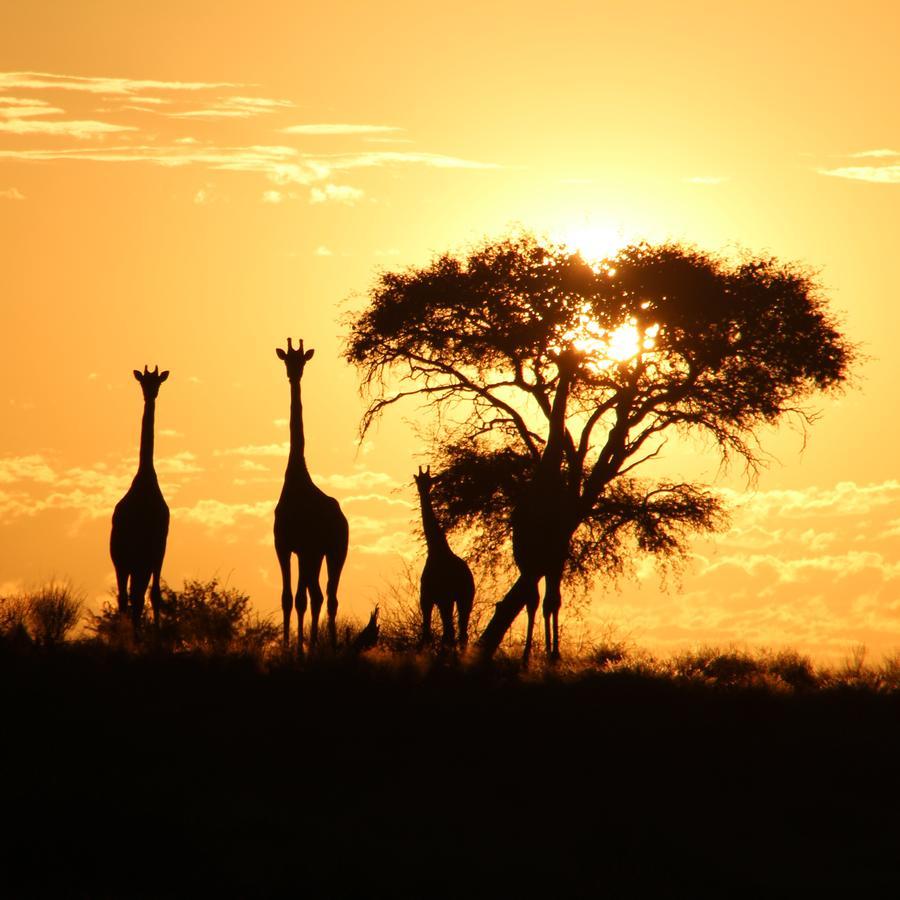Kalahari Red Dunes Lodge Kalkrand Bagian luar foto